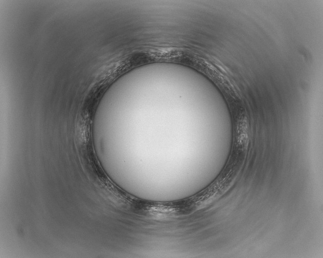 X0000115490515200911201559