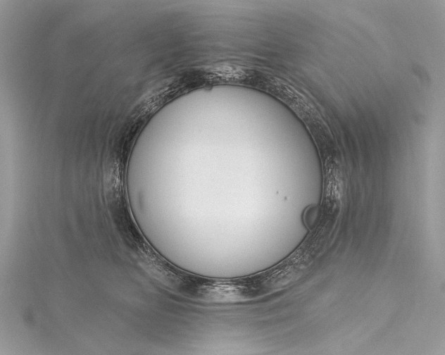 X0000115490518200911201559