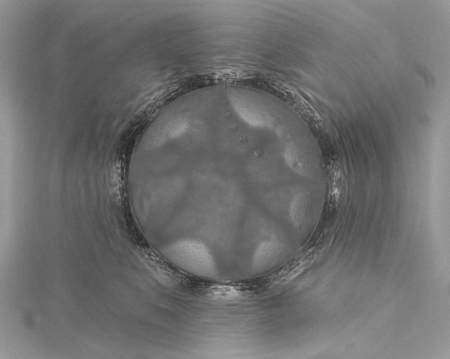 X0000115490519200911201559