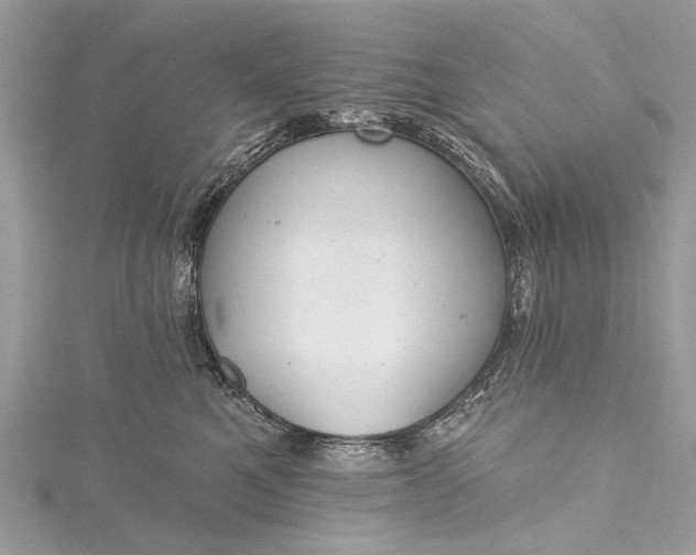 X0000115490521200911201559