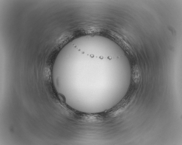 X0000115490523200911201559
