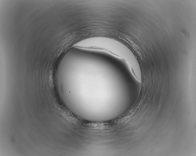 X0000115490524200911201559