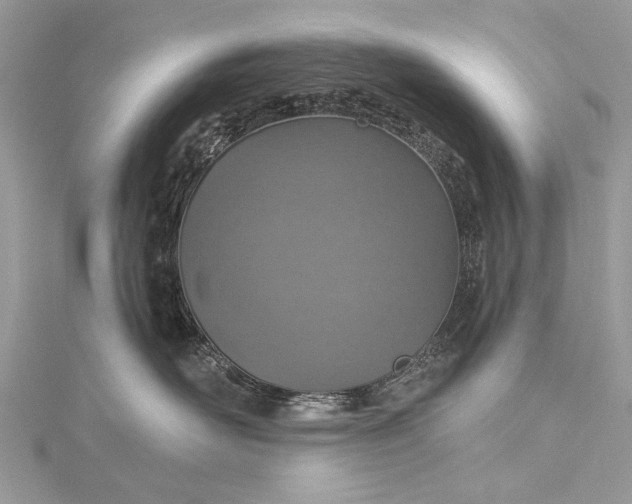 X0000115490526200911201559