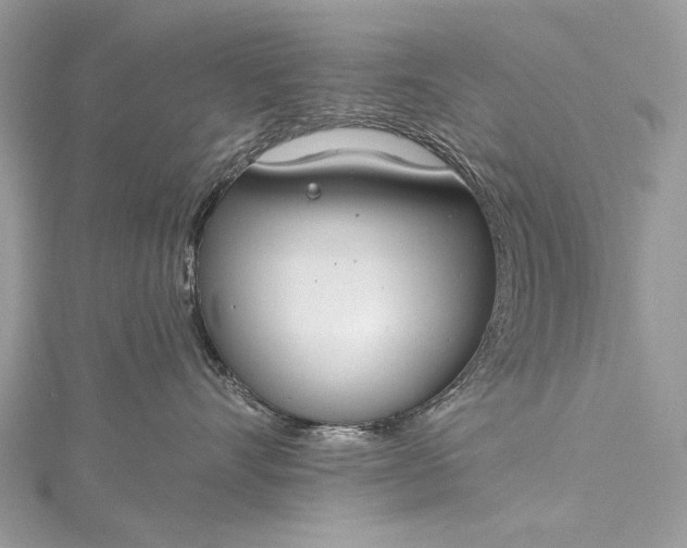 X0000115490528200911201559