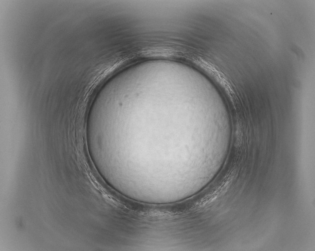 X0000115490529200911201559