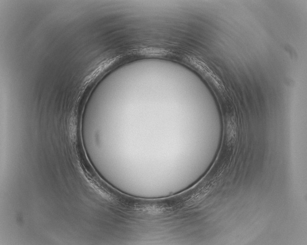 X0000115490533200911201559