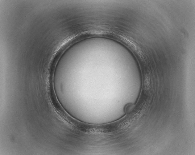X0000115490535200911201559