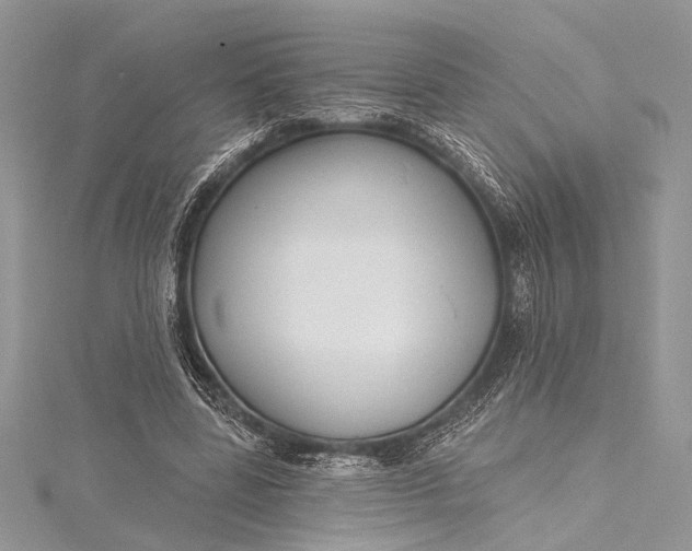 X0000115490539200911201559