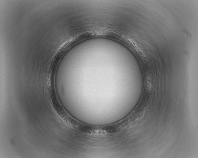 X0000115490543200911201559