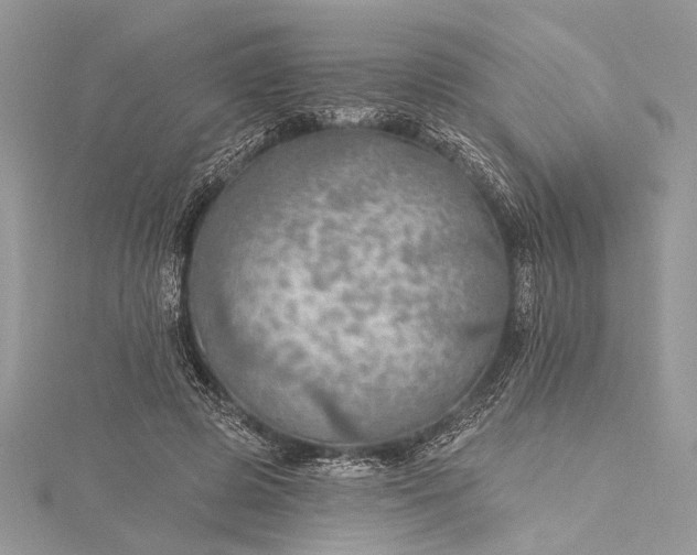 X0000115490545200911201559