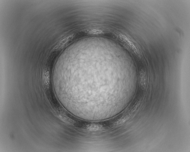 X0000115490549200911201559