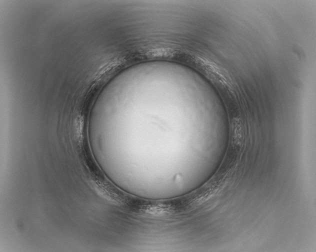 X0000115490550200911201559