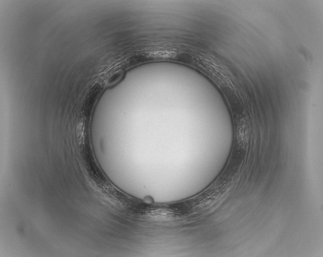 X0000115490551200911201559