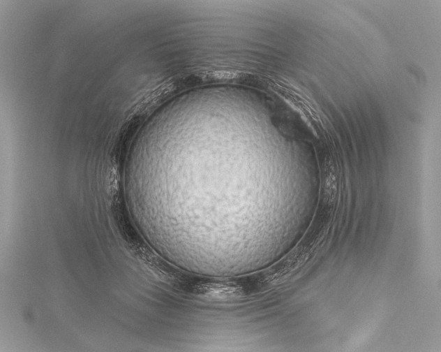 X0000115490555200911201559