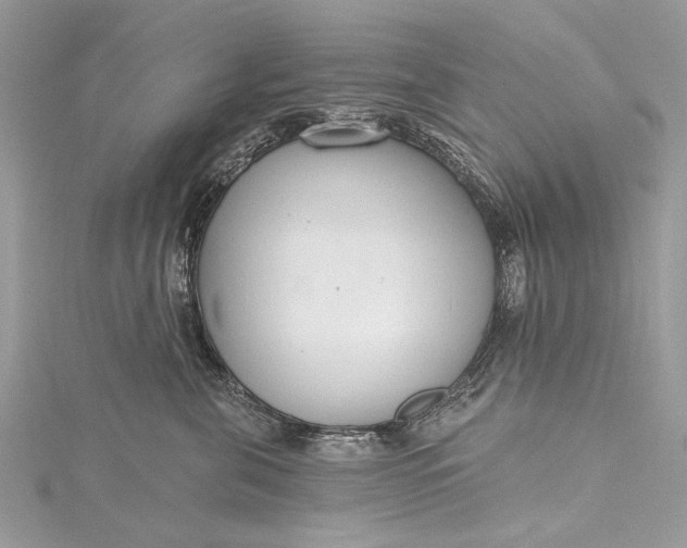X0000115490571200911201559