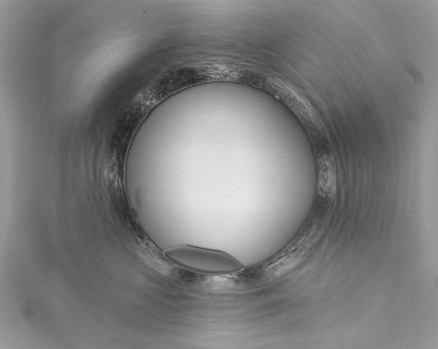 X0000115490573200911201559