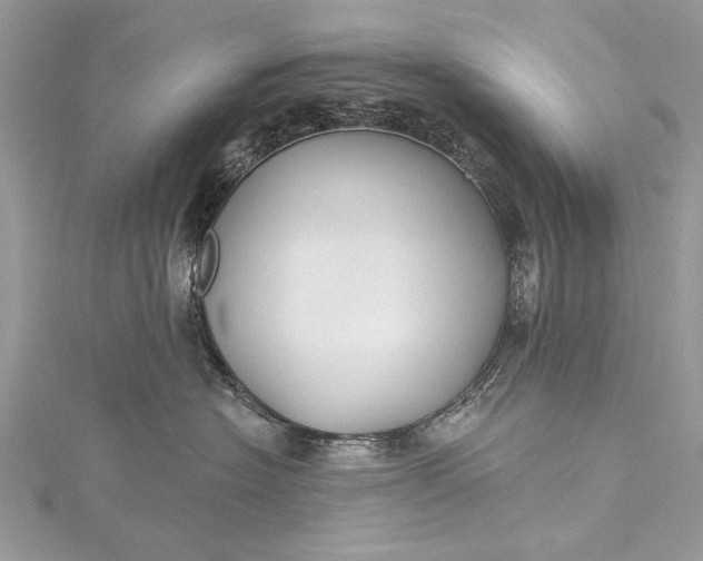 X0000115490574200911201559