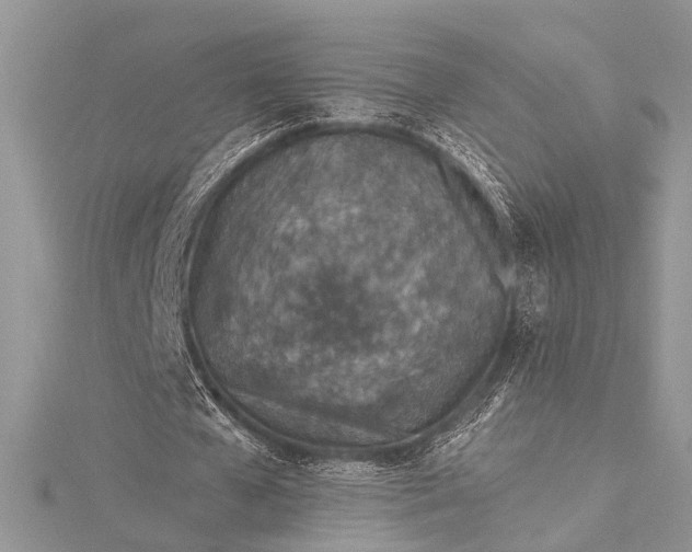 X0000115490577200911201559