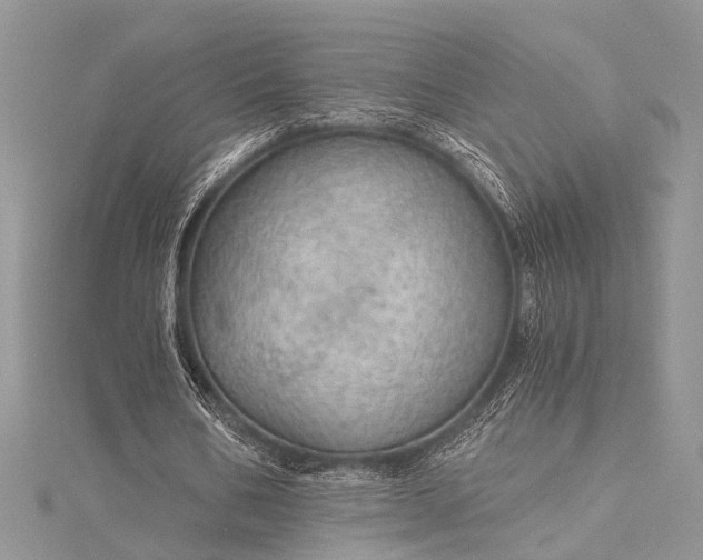 X0000115490578200911201559