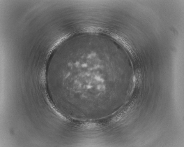 X0000115490581200911201559