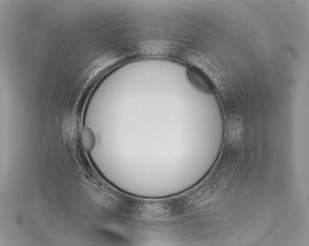 X0000115490583200911201559