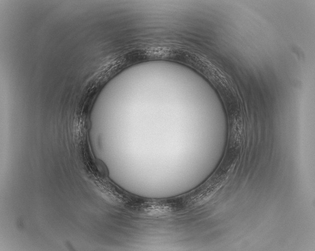 X0000115490601200911201558