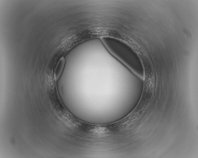 X0000115490609200911201558