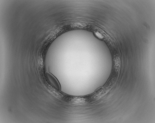 X0000115490617200911201558