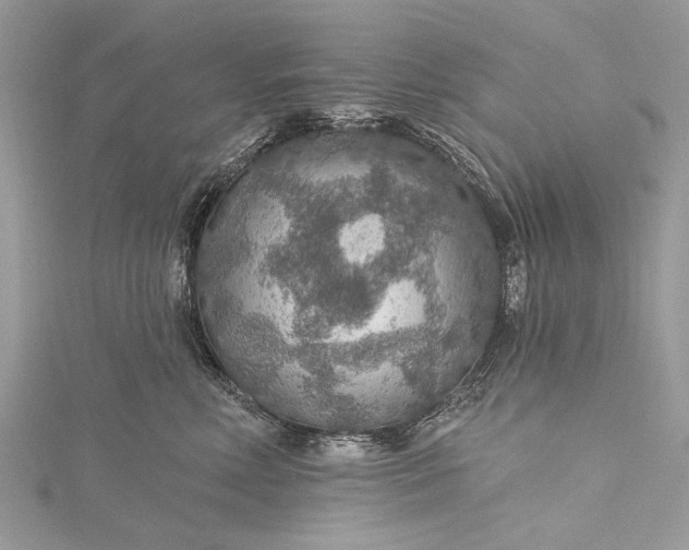 X0000115490618200911201558