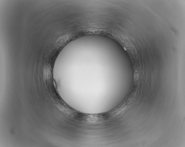 X0000115490623200911201558