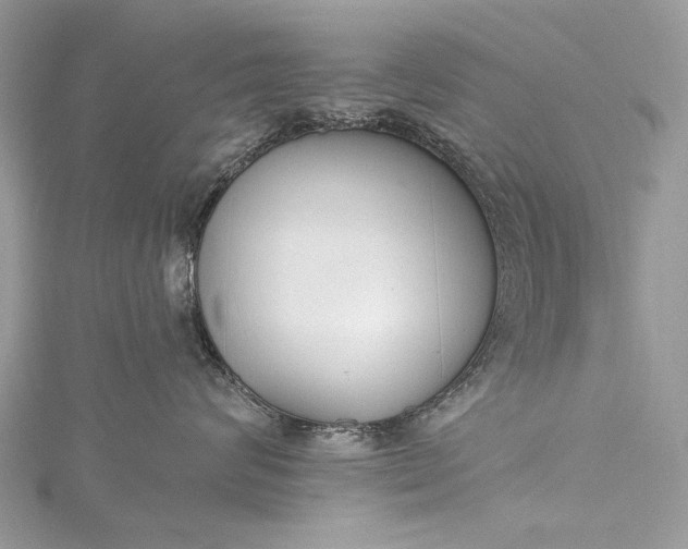 X0000115490624200911201558