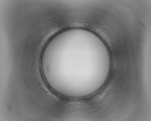 X0000115490625200911201557
