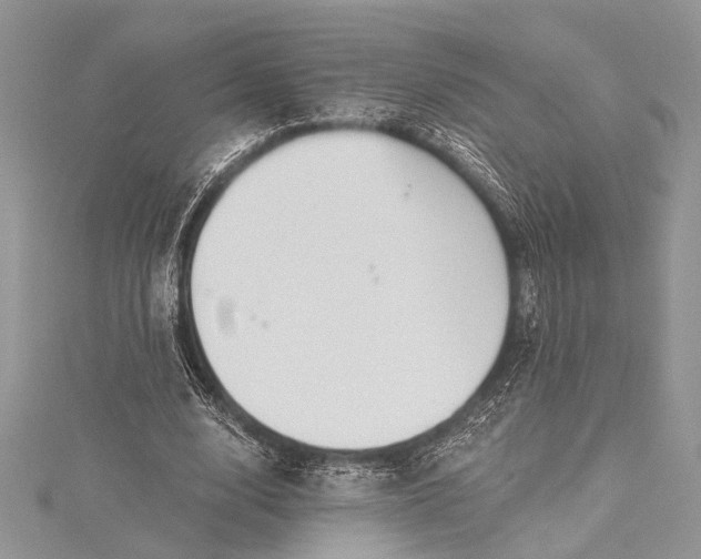 X0000115490632200911201558