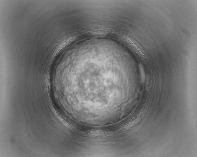 X0000115490634200911201558