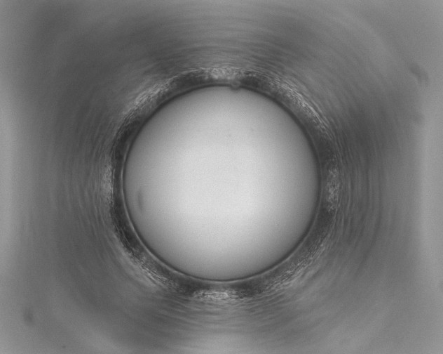 X0000115490639200911201558
