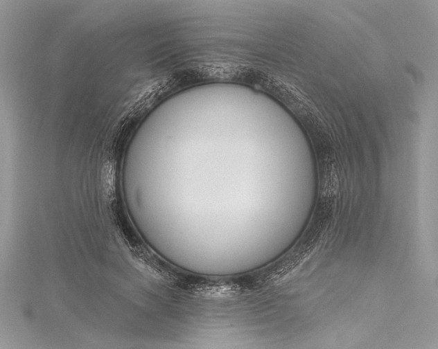 X0000115490646200911201558