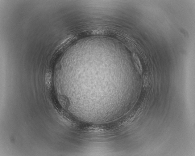 X0000115490648200911201558