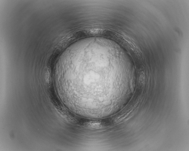 X0000115490651200911201558