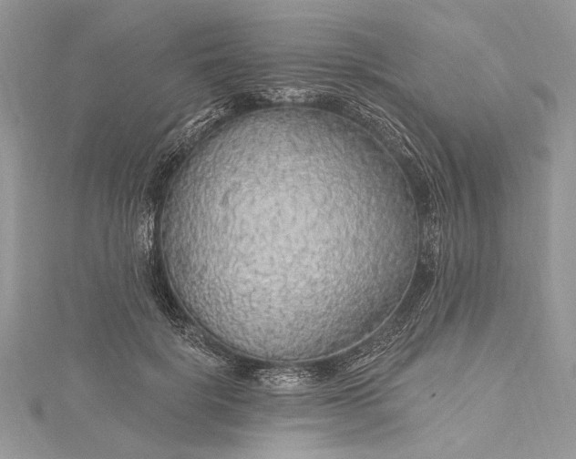 X0000115490652200911201558