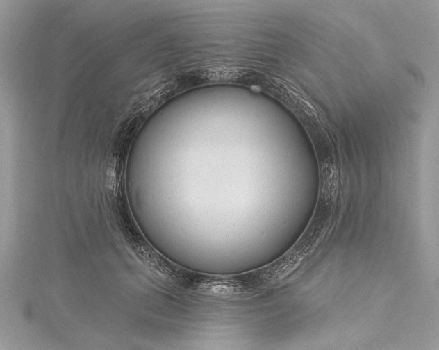 X0000115490655200911201558