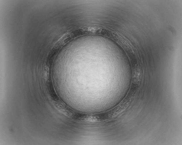X0000115490656200911201558