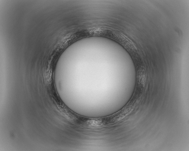 X0000115490660200911201558