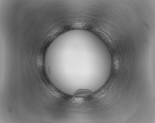 X0000115490665200911201558