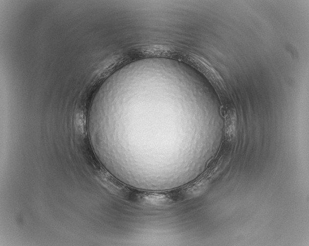 X0000115490669200911201558