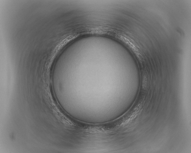 X0000115490673200911201557