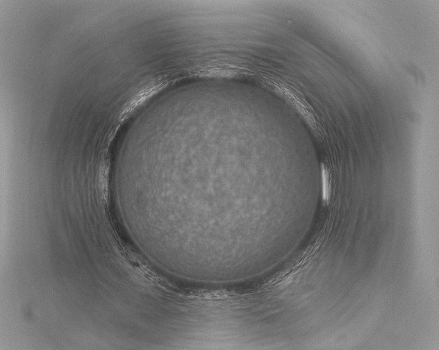 X0000115490675200911201557