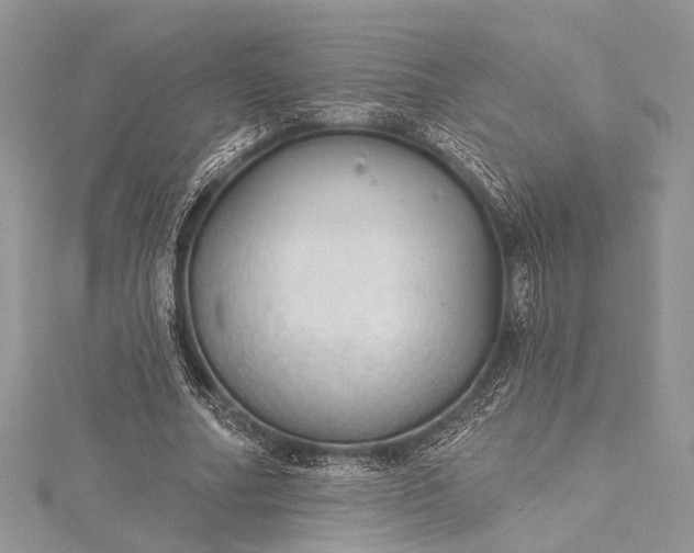 X0000115490682200911201557