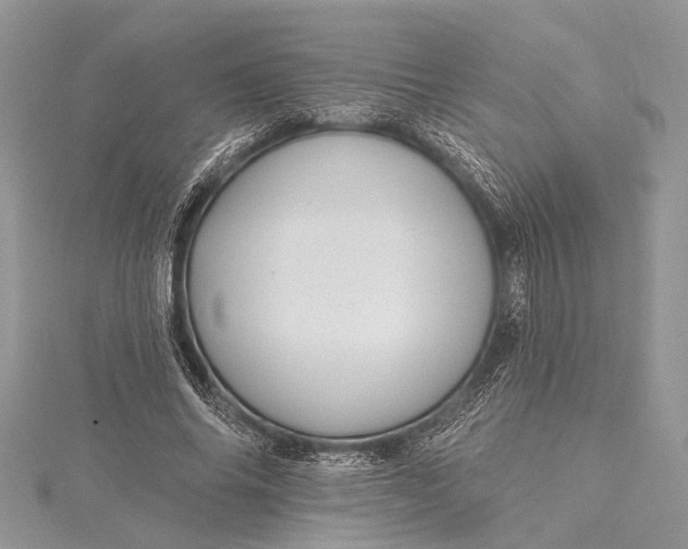 X0000115490686200911201557