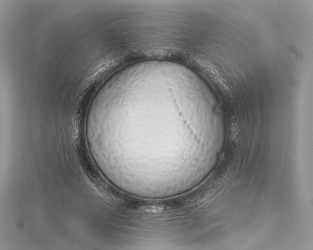 X0000115490687200911201557