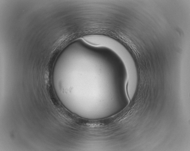 X0000115490693200911201557